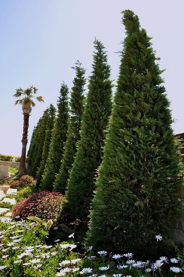 אגיה פלגיה קיתירה Ocean Villas Complex מראה חיצוני תמונה